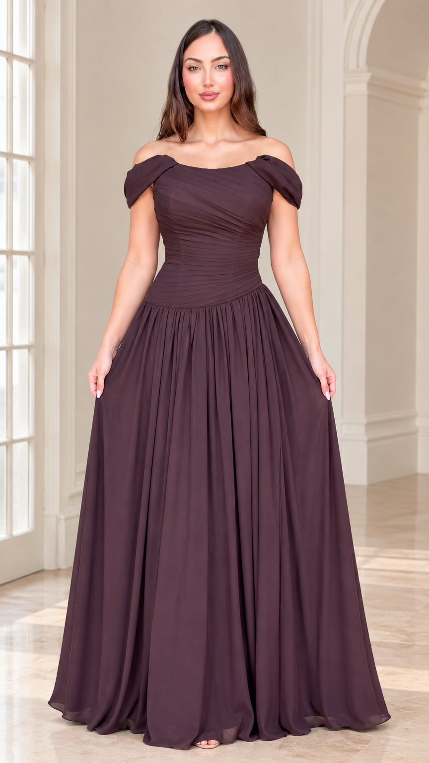 Front view of model wearing plum off-the-shoulder ruched chiffon maxi dress